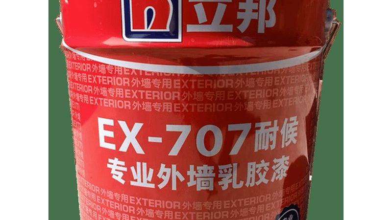 硅藻泥背景墙：探寻环保与美观的平衡点